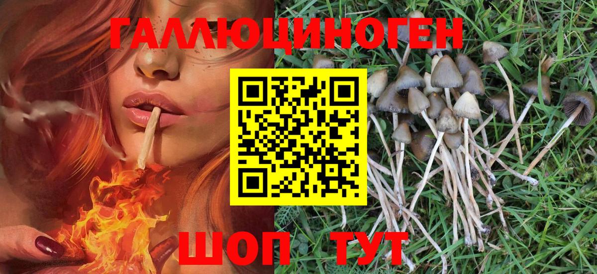 Сочи  Псилоцибиновые грибы мухоморы  купить наркотики сайты  Вход с VPN 