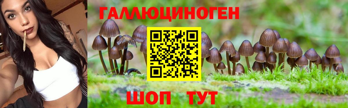 Галлюциногенные грибы ЛСД Сочи